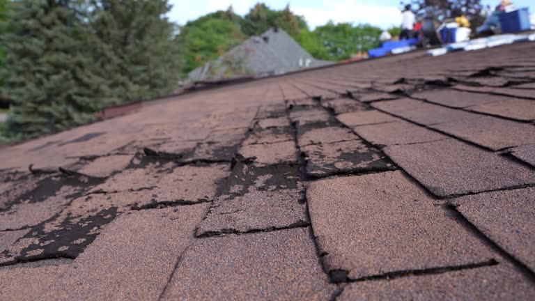 Best Metal Roofing Installation  in Lincoln Center, KS